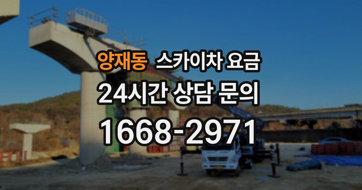 양재동 스카이차 요금