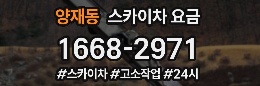 양재동 스카이차 요금