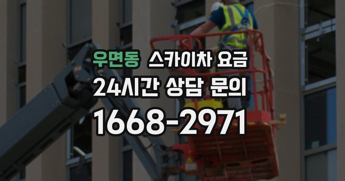 우면동 스카이차 요금
