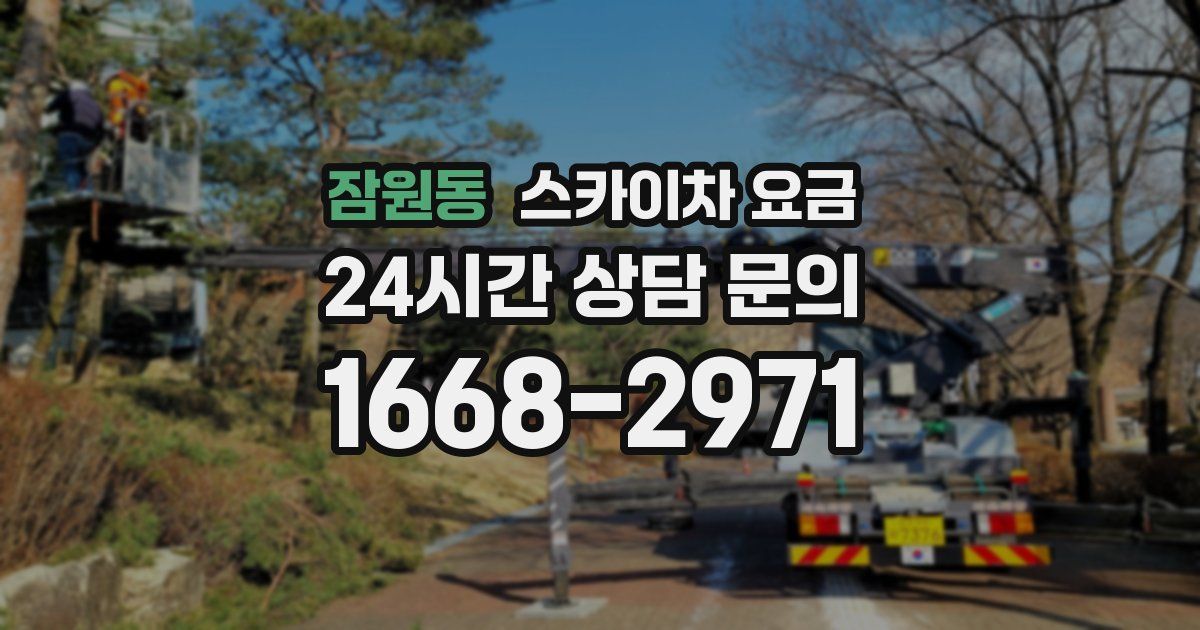 잠원동 스카이차 요금