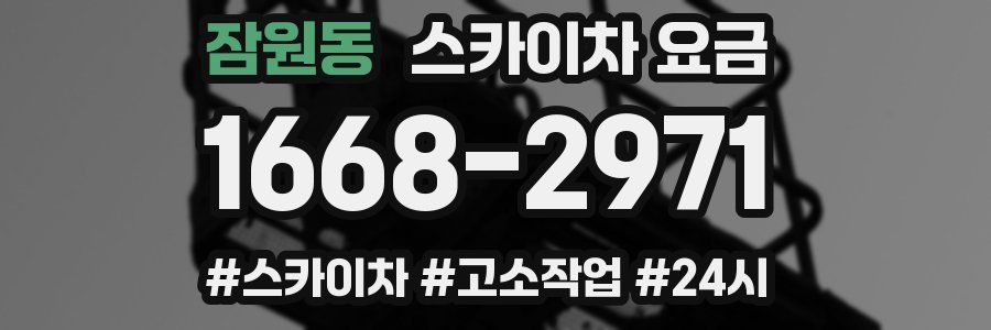 잠원동 스카이차 요금