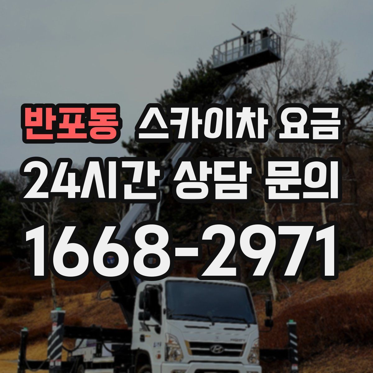 반포동 스카이차 요금