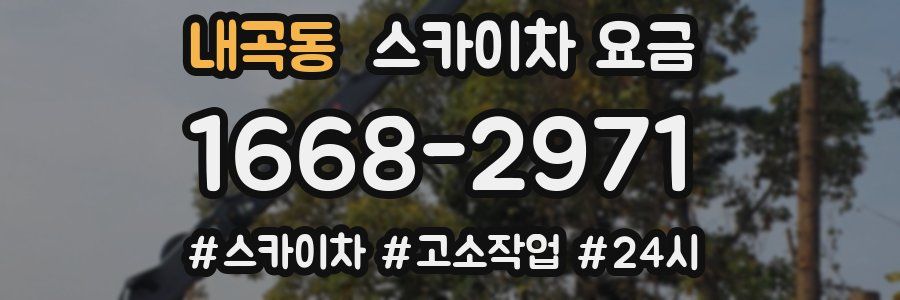 내곡동 스카이차 요금