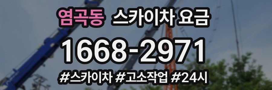 염곡동 스카이차 요금