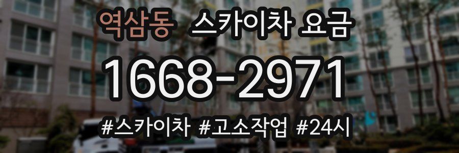역삼동 스카이차 요금