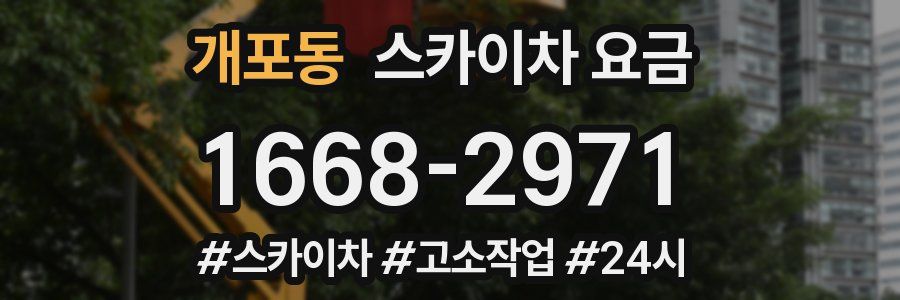 개포동 스카이차 요금