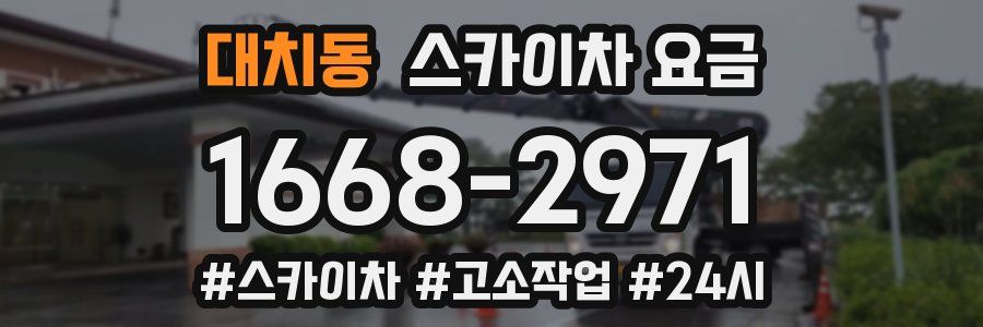 대치동 스카이차 요금