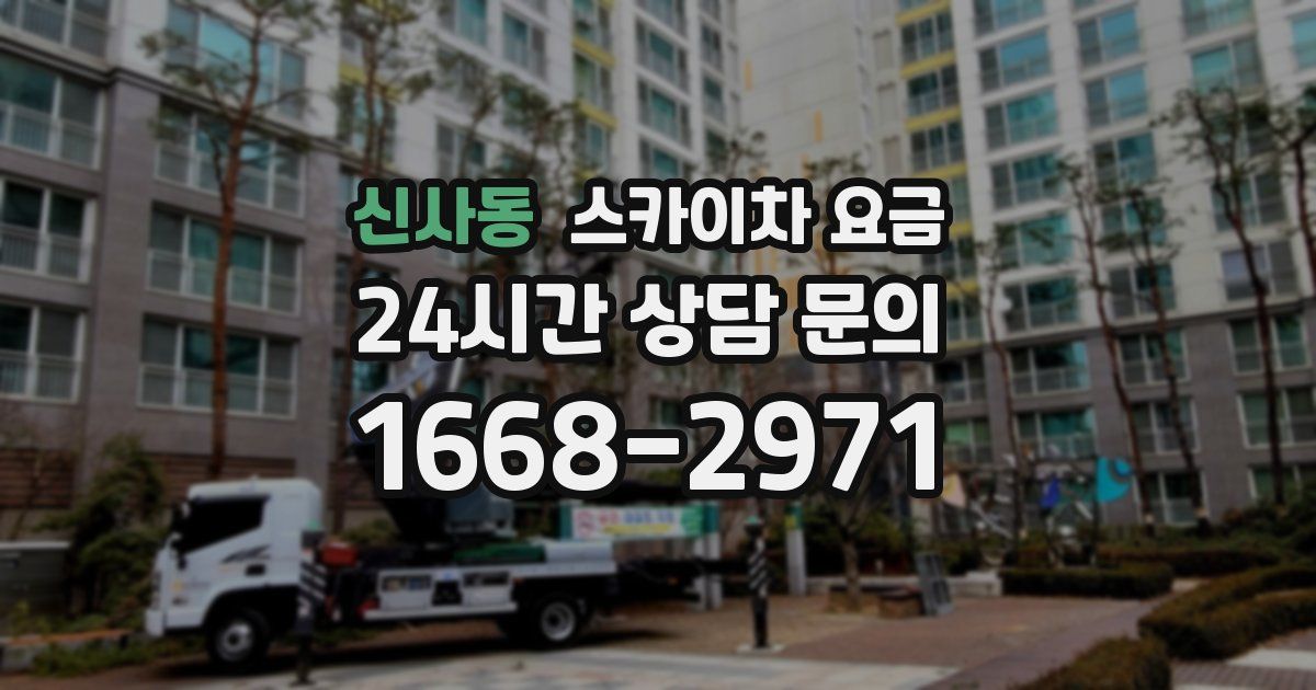 신사동 스카이차 요금