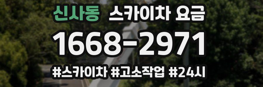 신사동 스카이차 요금