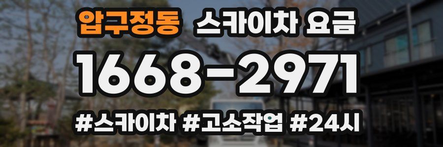 압구정동 스카이차 요금