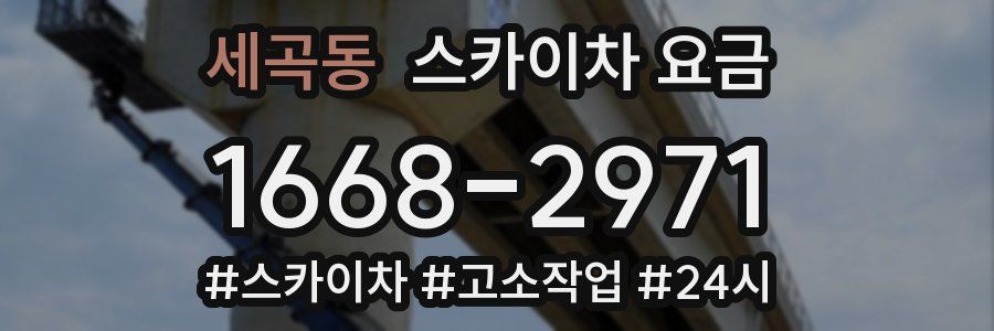 세곡동 스카이차 요금