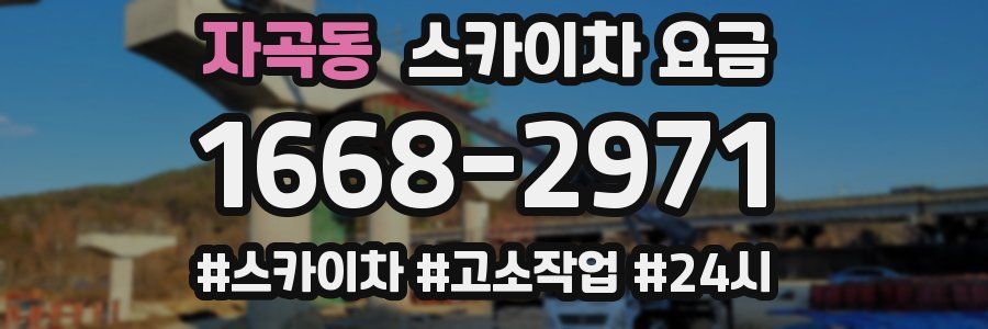 자곡동 스카이차 요금