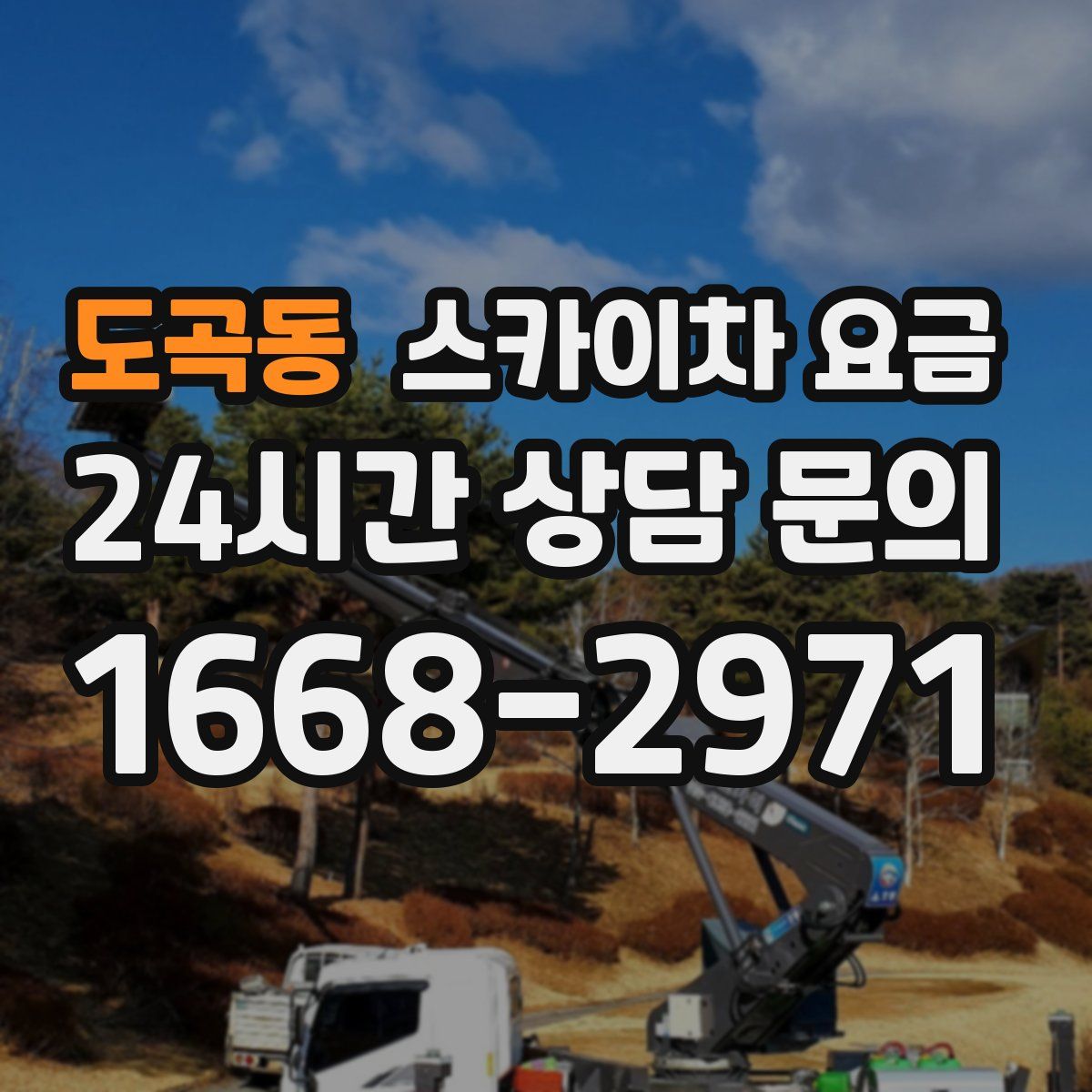 도곡동 스카이차 요금