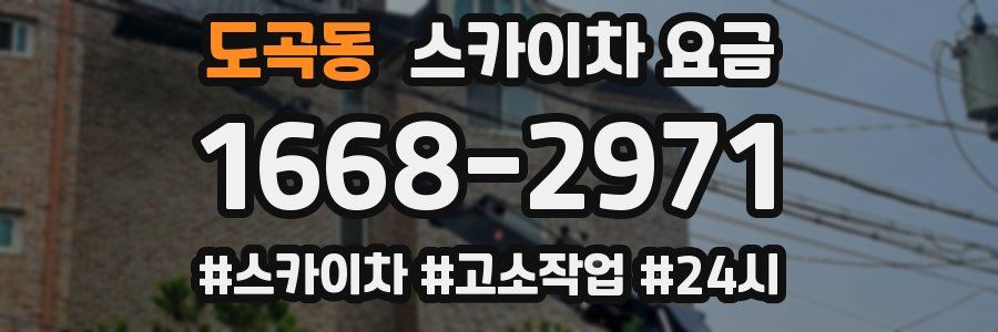 도곡동 스카이차 요금