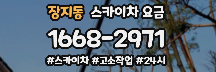 장지동 스카이차 요금