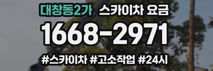 대창동2가 스카이차 요금