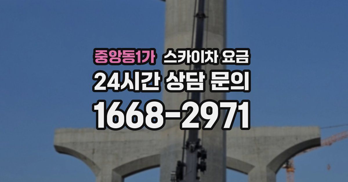 중앙동1가 스카이차 요금