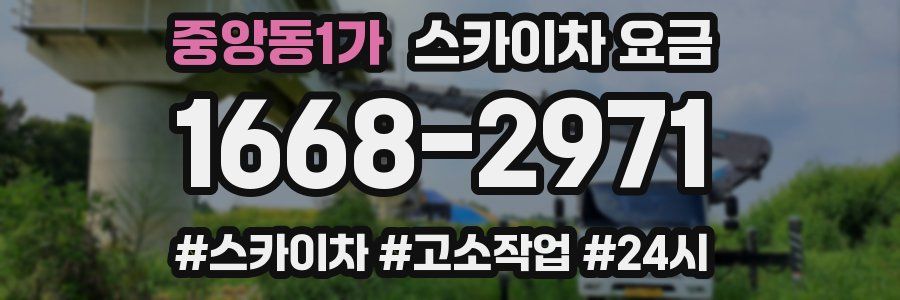 중앙동1가 스카이차 요금