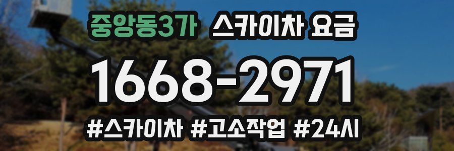 중앙동3가 스카이차 요금