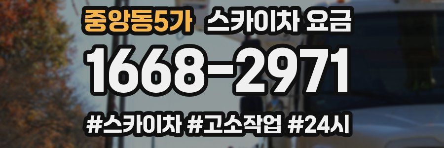 중앙동5가 스카이차 요금