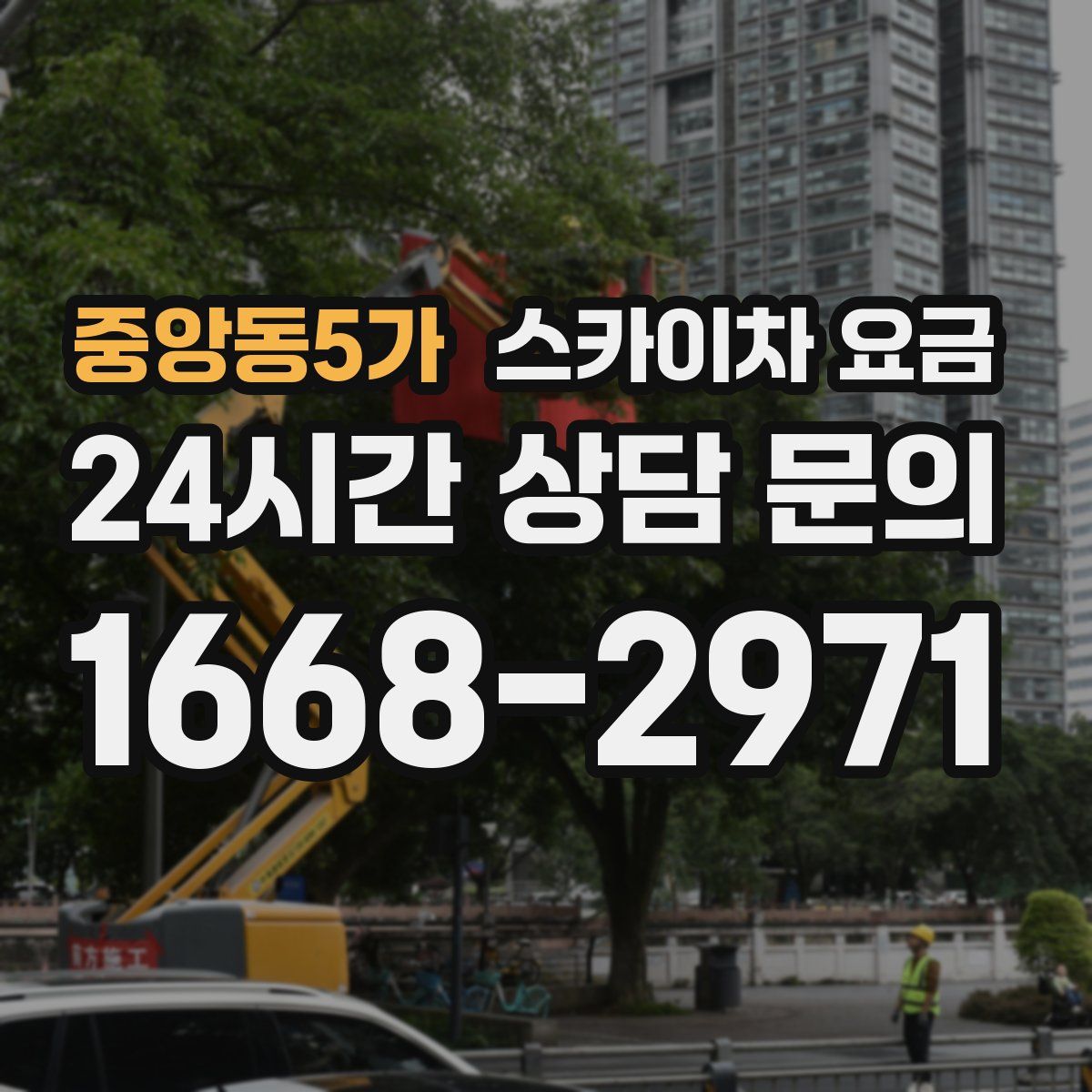 중앙동5가 스카이차 요금