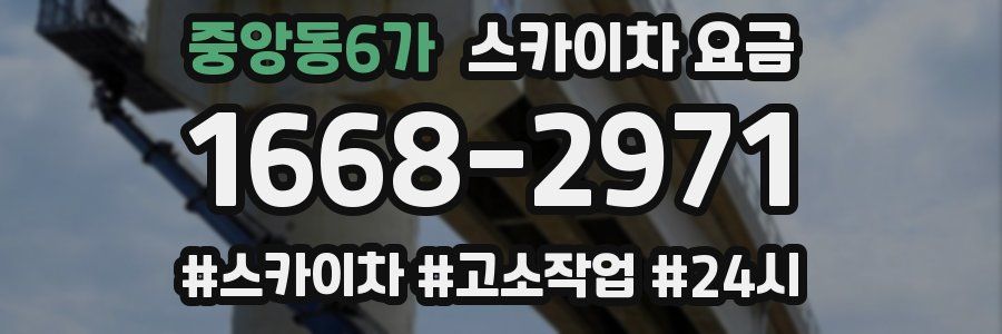 중앙동6가 스카이차 요금
