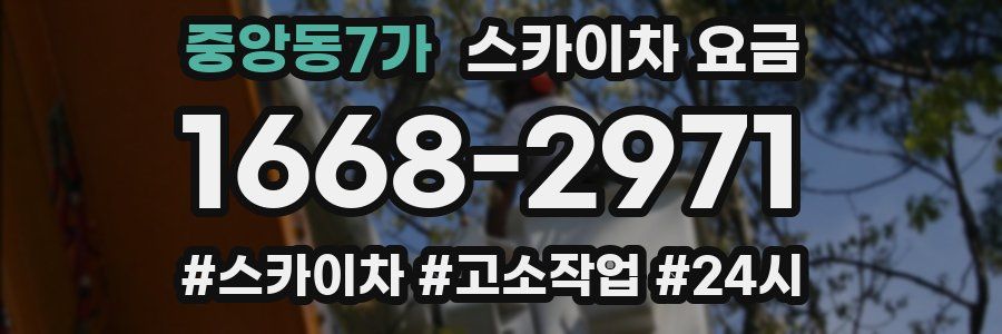 중앙동7가 스카이차 요금