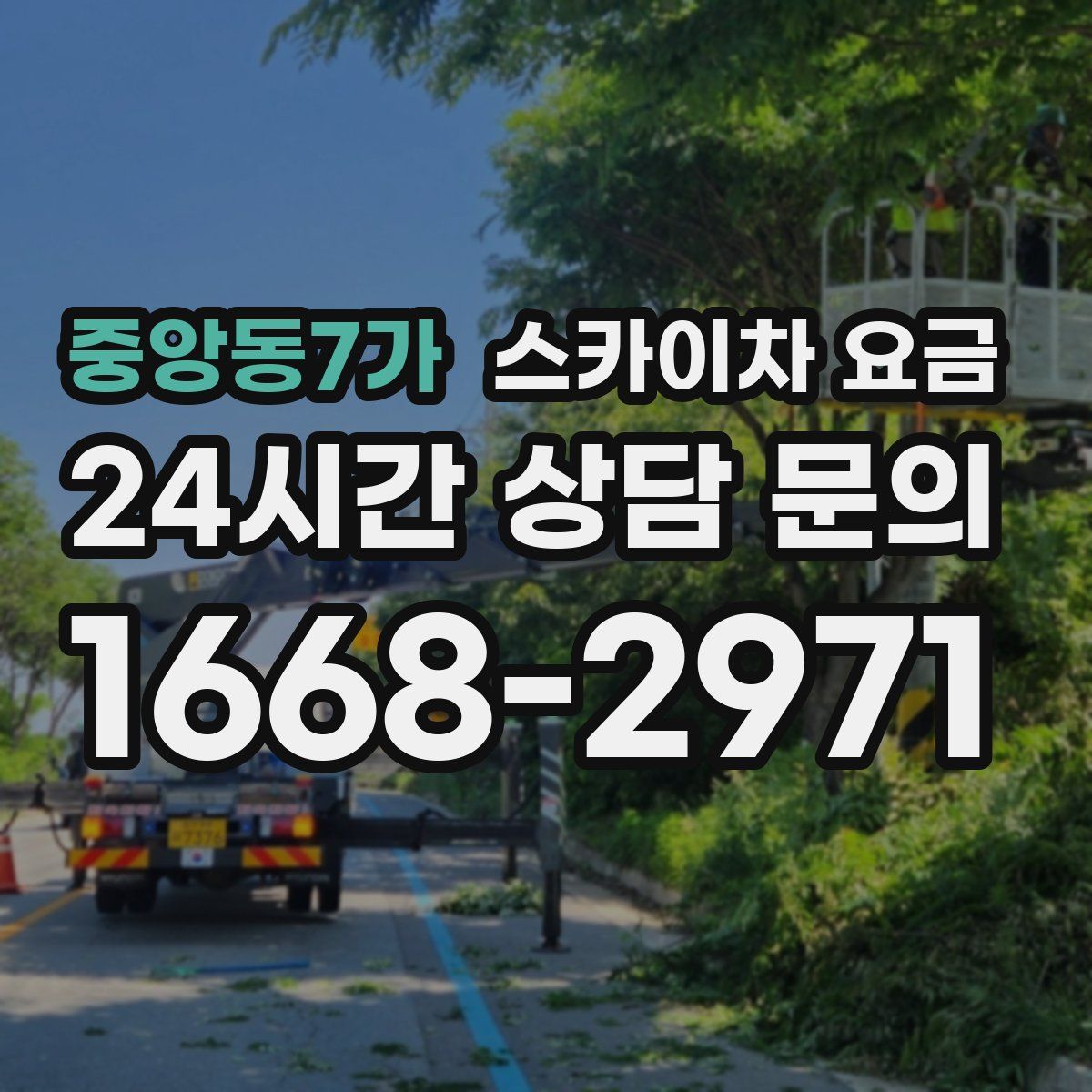 중앙동7가 스카이차 요금
