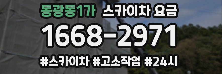 동광동1가 스카이차 요금