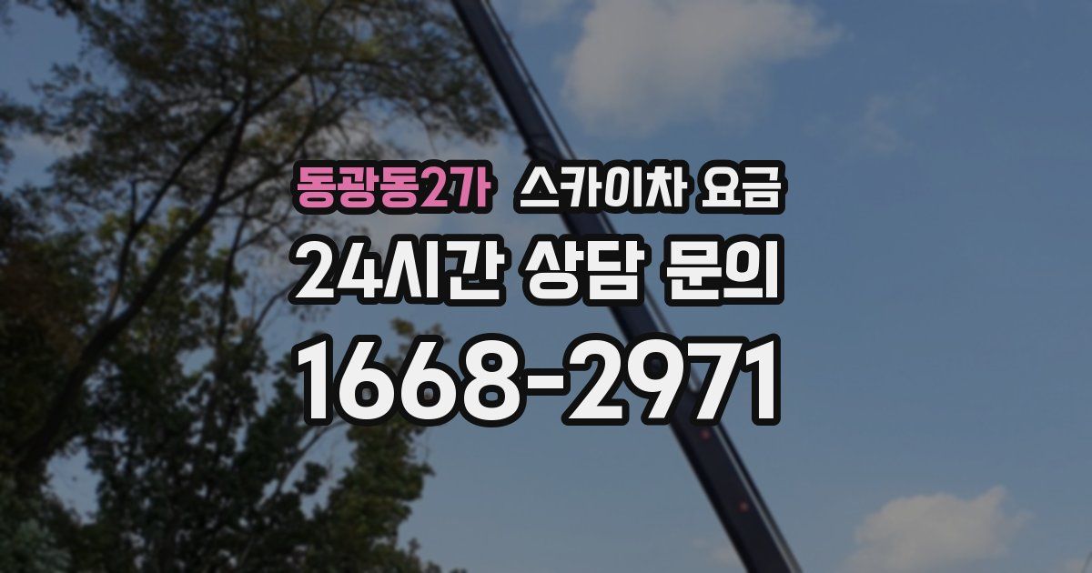 동광동2가 스카이차 요금