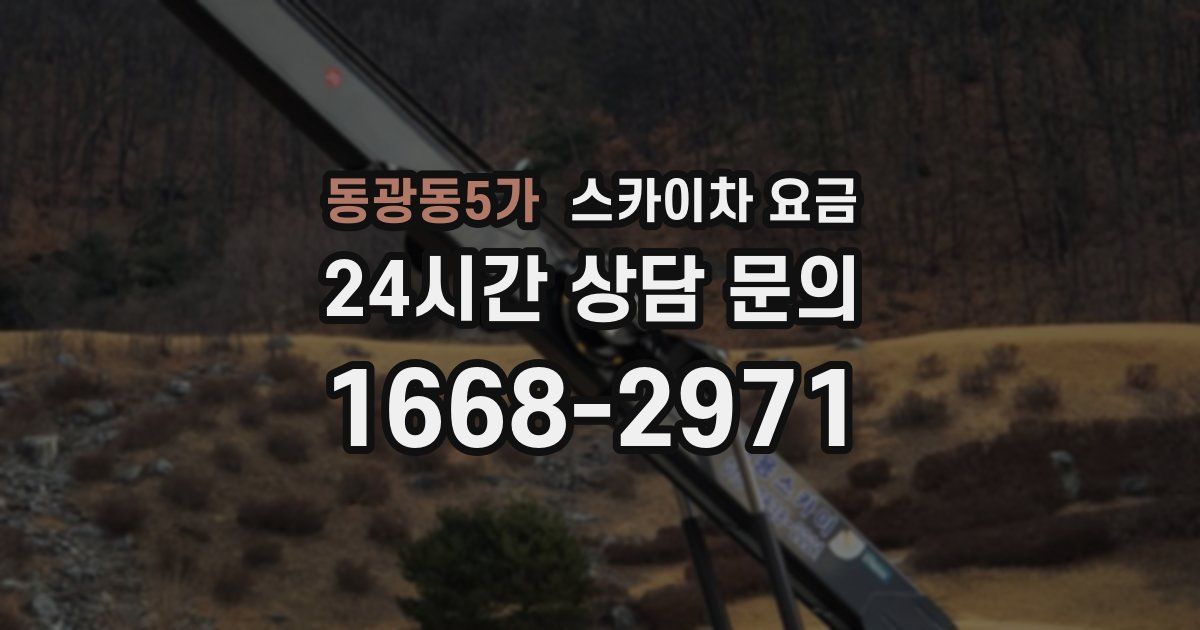 동광동5가 스카이차 요금