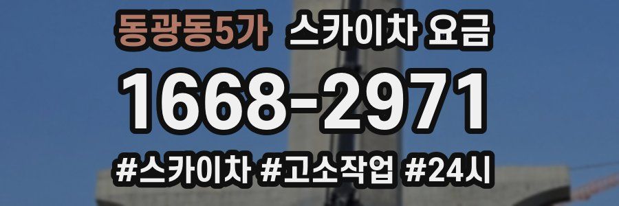 동광동5가 스카이차 요금