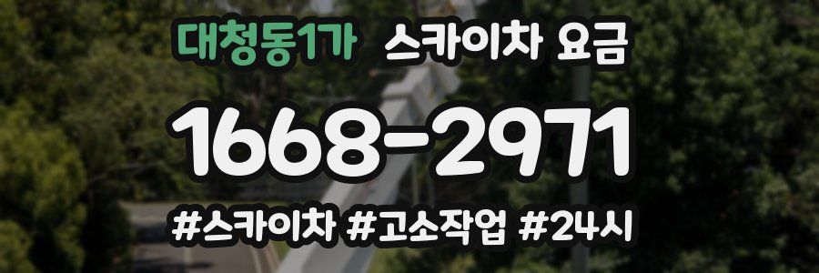 대청동1가 스카이차 요금