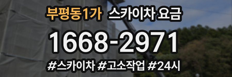 부평동1가 스카이차 요금