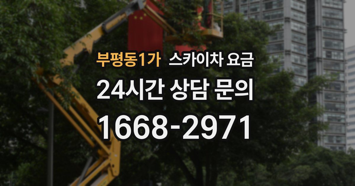 부평동1가 스카이차 요금