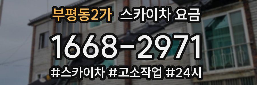 부평동2가 스카이차 요금