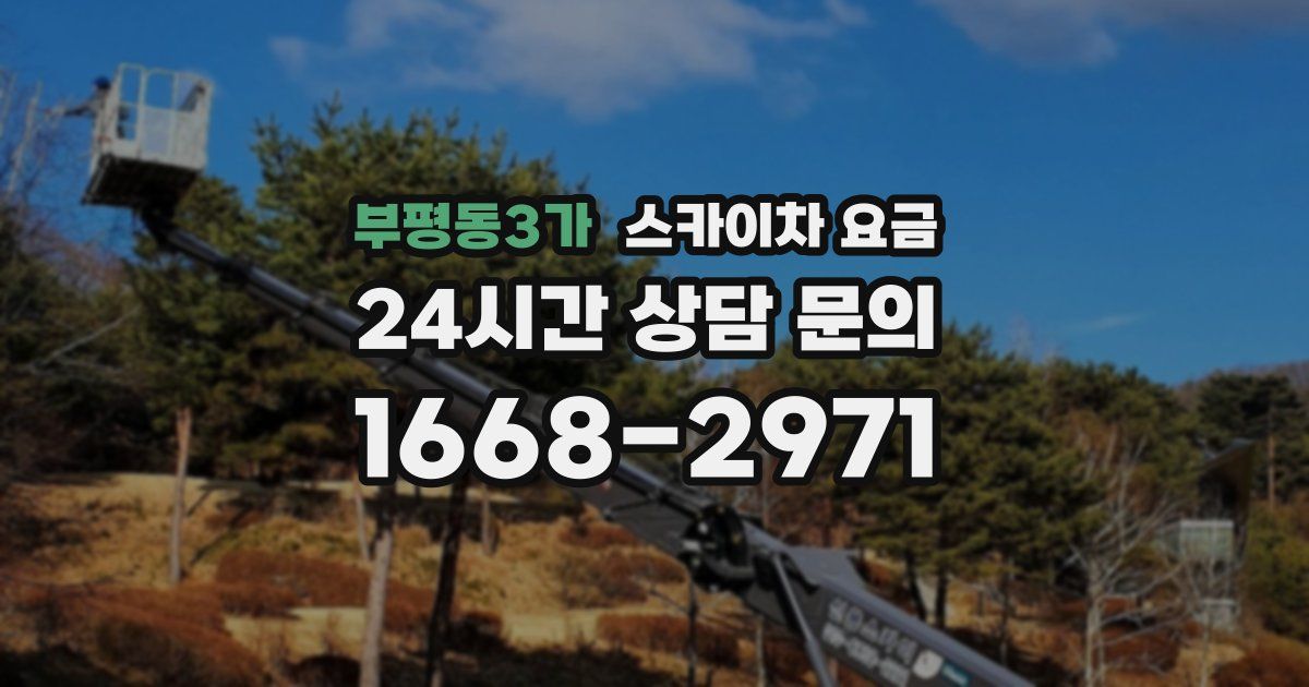 부평동3가 스카이차 요금
