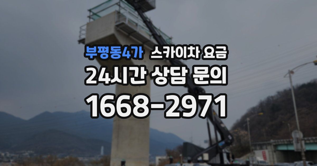 부평동4가 스카이차 요금