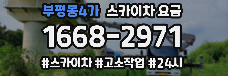 부평동4가 스카이차 요금