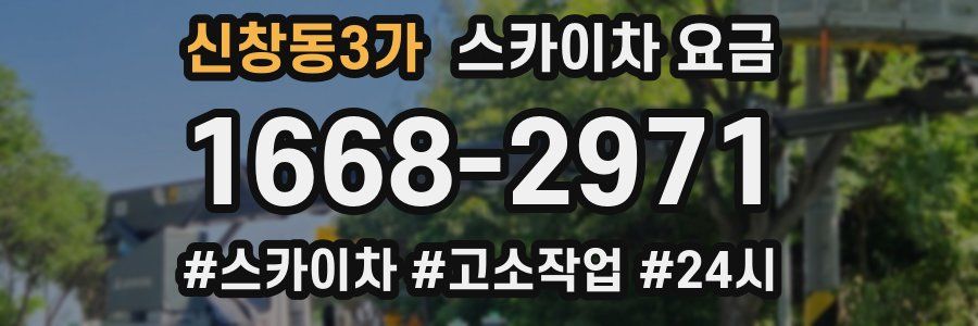 신창동3가 스카이차 요금