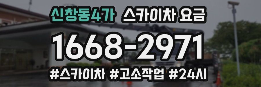 신창동4가 스카이차 요금