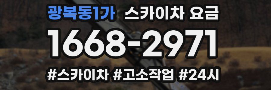 광복동1가 스카이차 요금