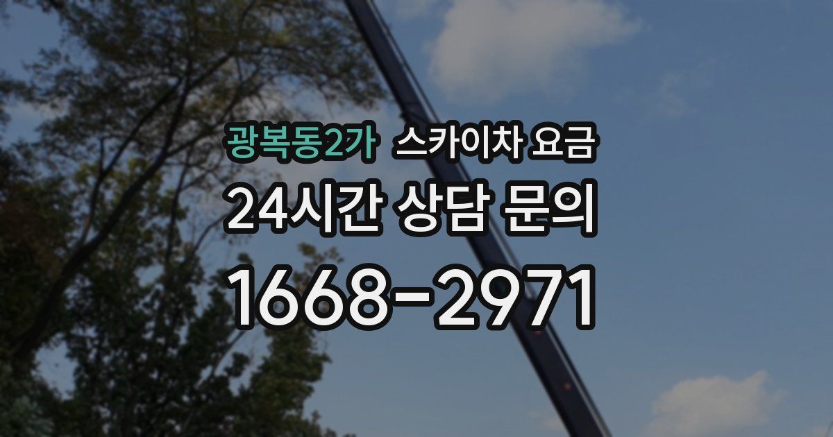 광복동2가 스카이차 요금