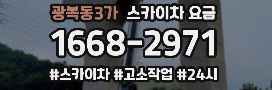 광복동3가 스카이차 요금