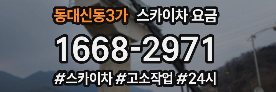 동대신동3가 스카이차 요금