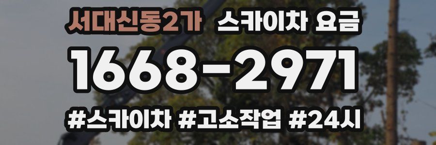 서대신동2가 스카이차 요금
