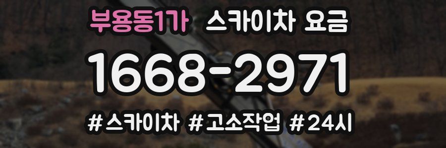 부용동1가 스카이차 요금