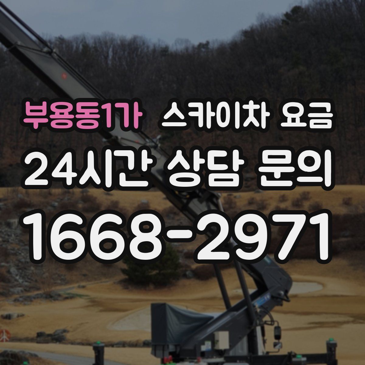 부용동1가 스카이차 요금