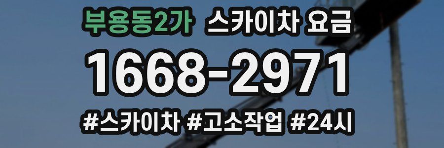 부용동2가 스카이차 요금