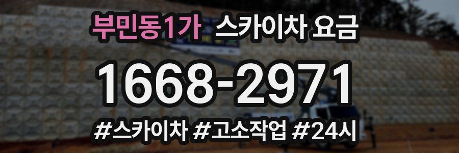 부민동1가 스카이차 요금